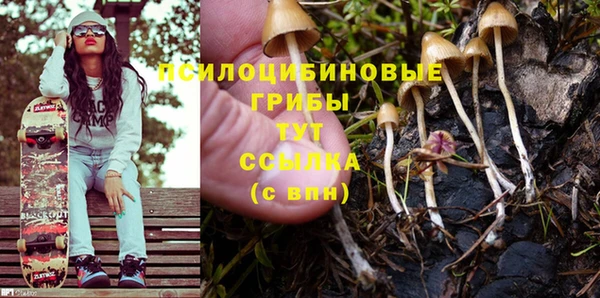 прущая мука Белокуриха