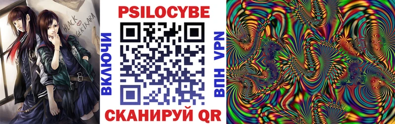 Галлюциногенные грибы Psilocybe даркнет сайт кракен онион Бугульма