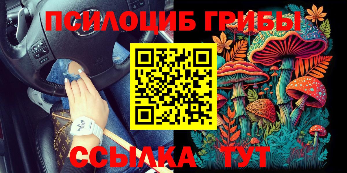 как найти закладки  Вход с VPN  Псилоцибиновые грибы прущие грибы  Бугульма  Галлюциногенные грибы мицелий 