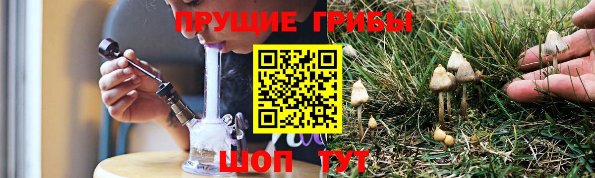 Галлюциногенные грибы мухоморы Бугульма