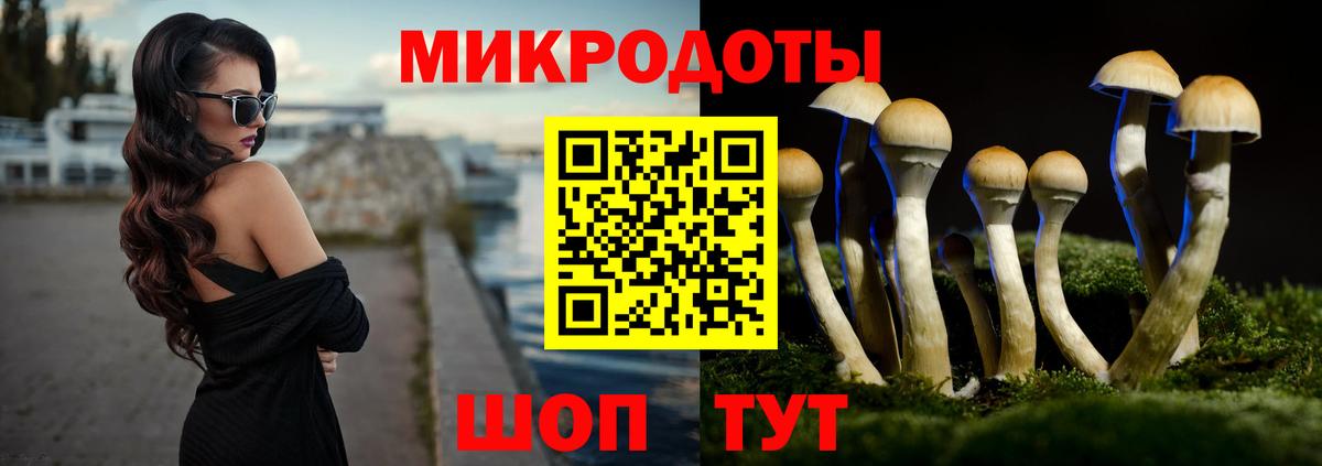 Галлюциногенные грибы GOLDEN TEACHER  Бугульма  Галлюциногенные грибы Magic Shrooms 